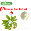 Ginseng Leaf & Stem Extract EC3962005